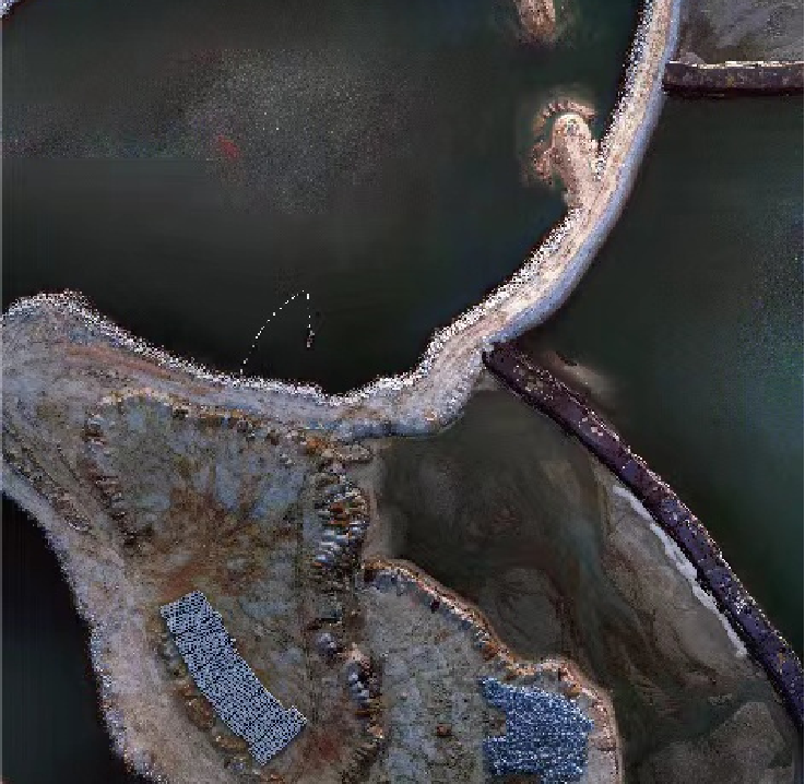 2012年5cm雙魚島 2012年5cm雙魚島